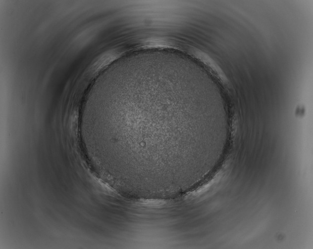 X0000101150825200807071147