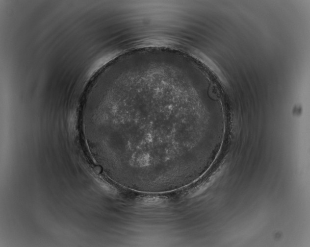 X0000101150826200807071147