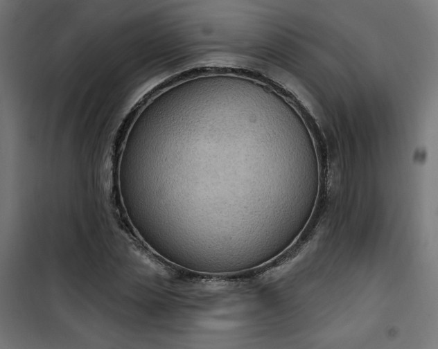 X0000101150829200807071147