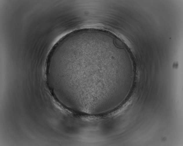 X0000101150830200807071147