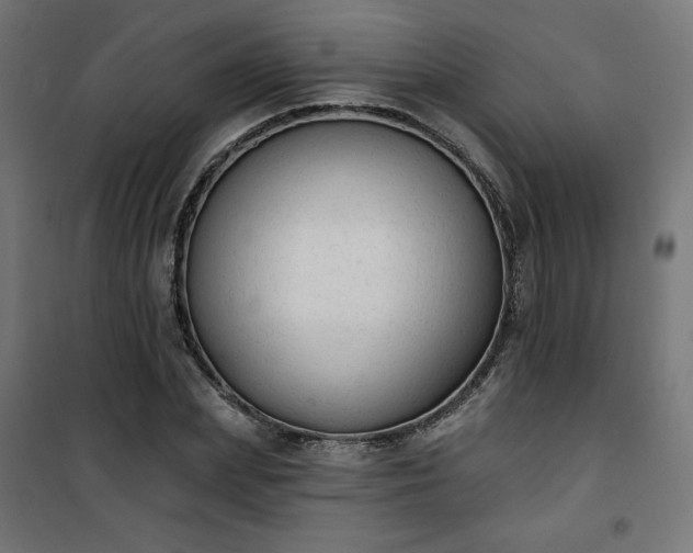 X0000101150831200807071147