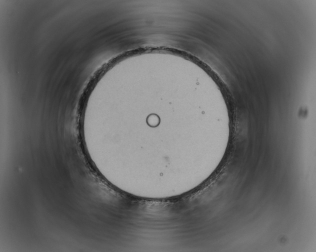 X0000101150832200807071147