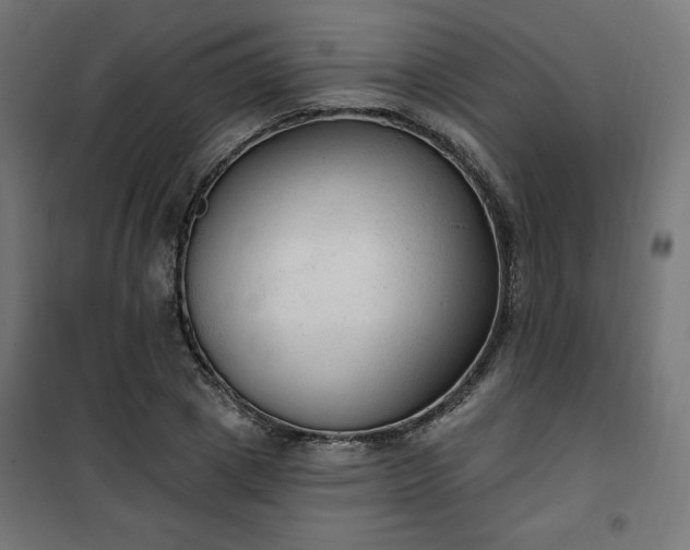 X0000101150833200807071147