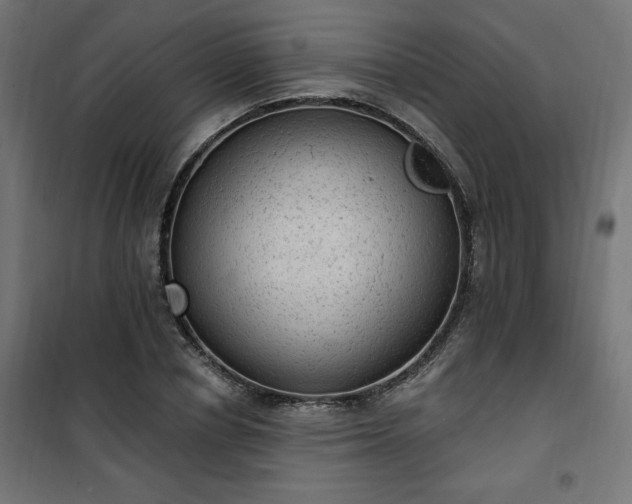 X0000101150834200807071147