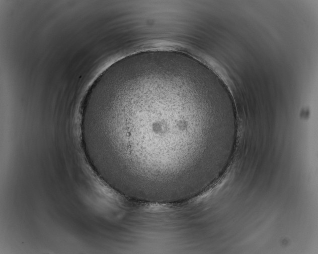 X0000101150835200807071147