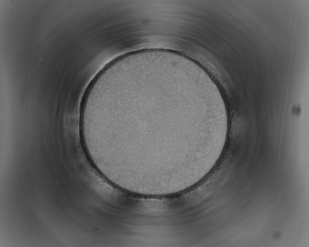 X0000101150836200807071147