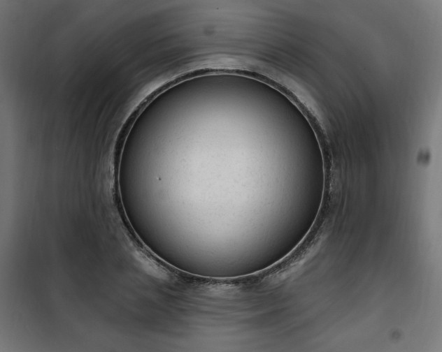 X0000101150837200807071147