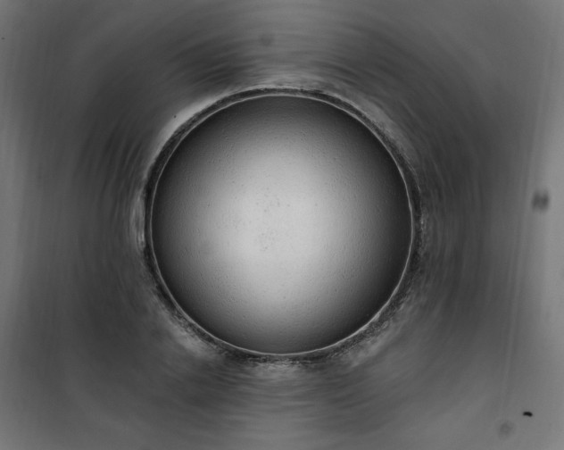 X0000101150838200807071147