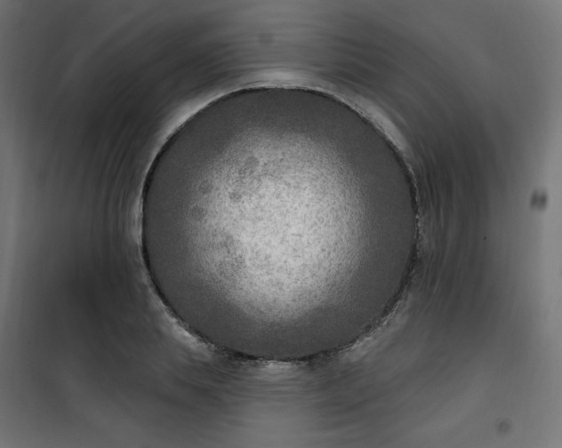 X0000101150839200807071147