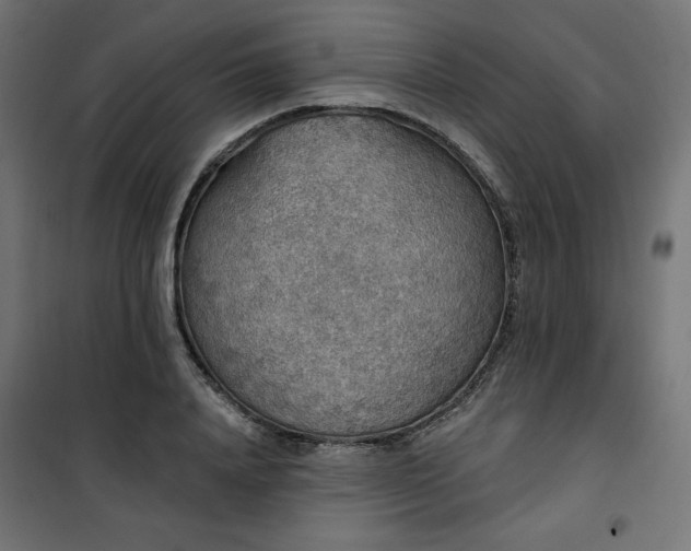 X0000101150840200807071147