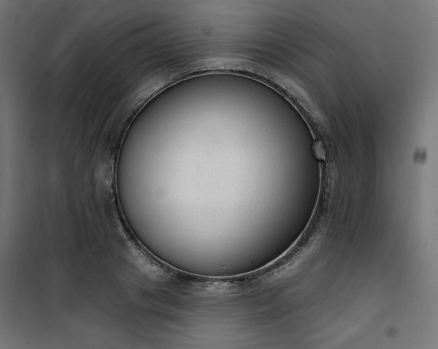 X0000101150841200807071147