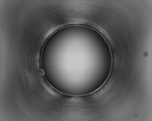 X0000101150842200807071147