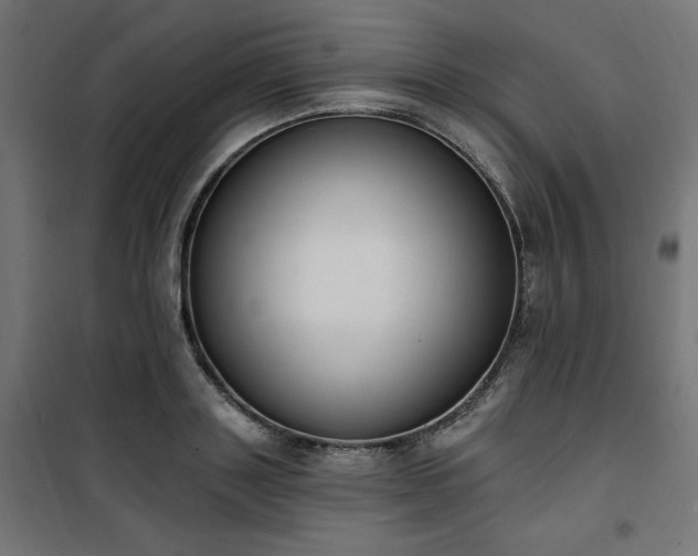 X0000101150843200807071147