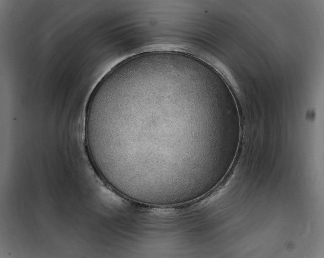 X0000101150844200807071147