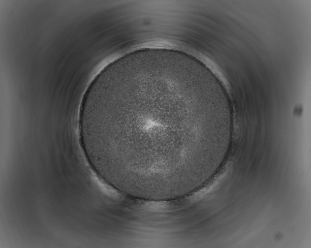 X0000101150845200807071147