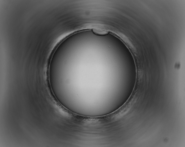 X0000101150846200807071147