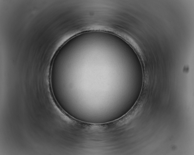 X0000101150847200807071147