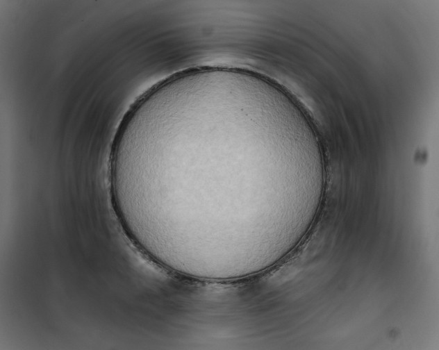 X0000101150848200807071147