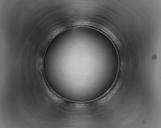 X0000101150849200807071147