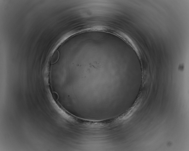 X0000101150851200807071147