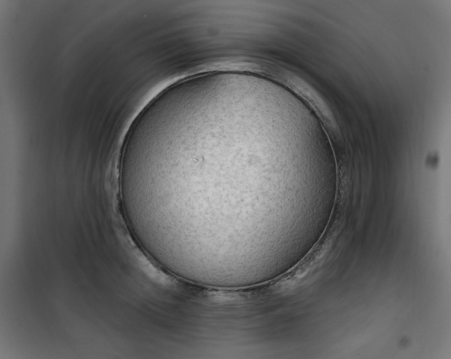 X0000101150852200807071148