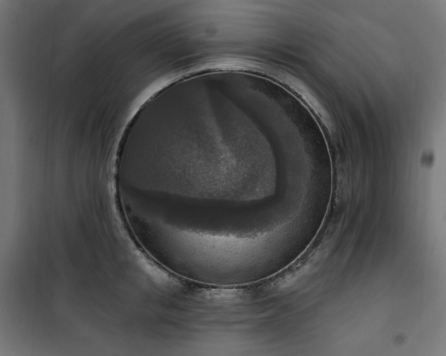 X0000101150853200807071148