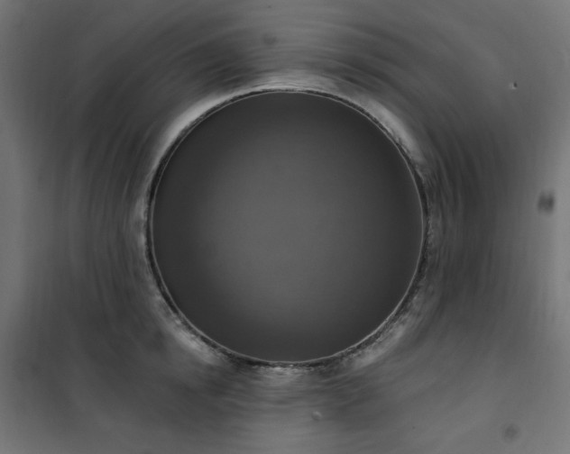 X0000101150854200807071148