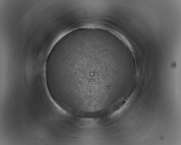 X0000101150855200807071148