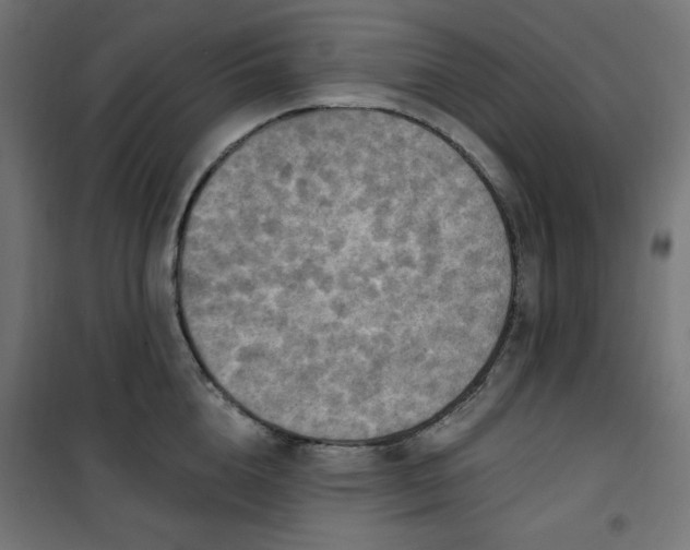 X0000101150856200807071148