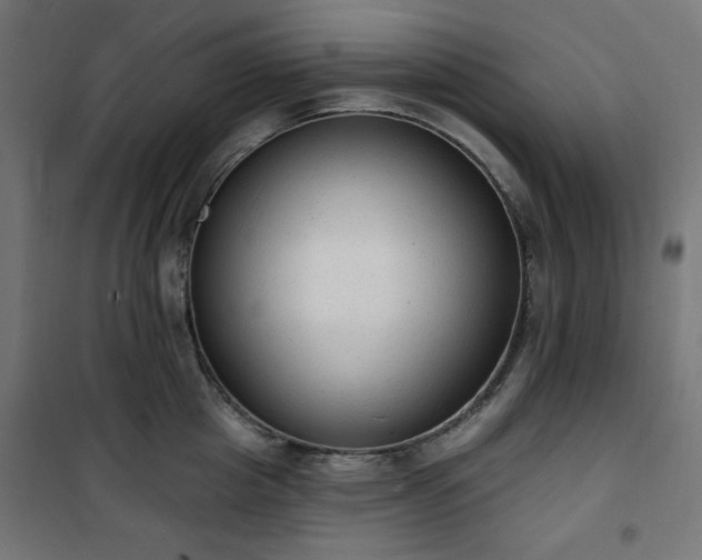 X0000101150857200807071148