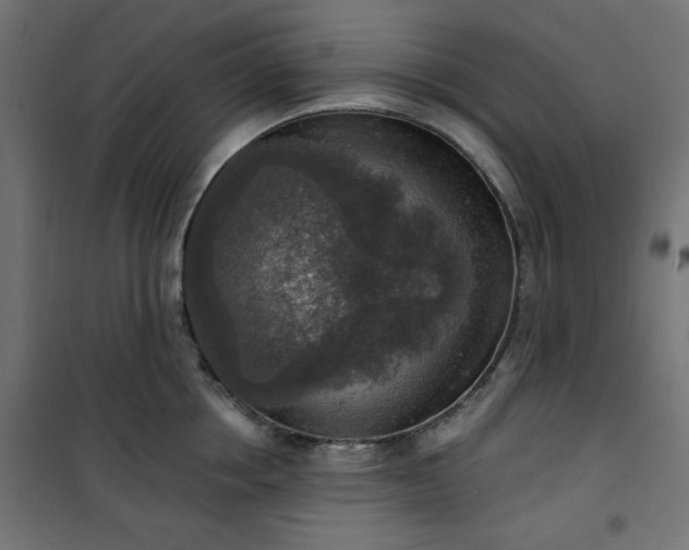 X0000101150858200807071148