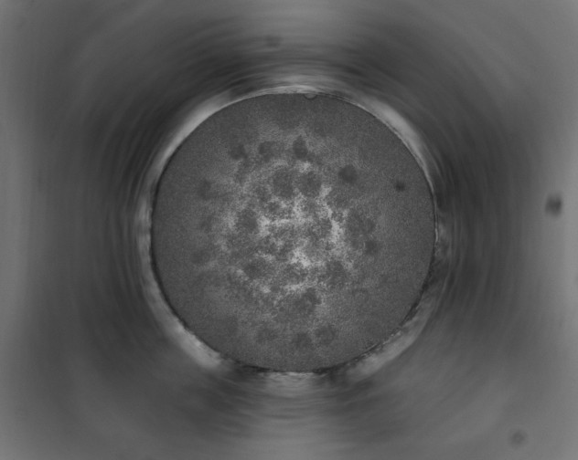 X0000101150859200807071148