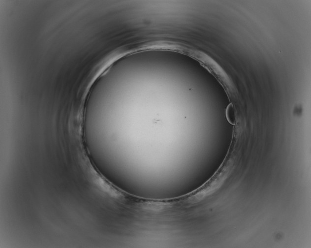 X0000101150860200807071148