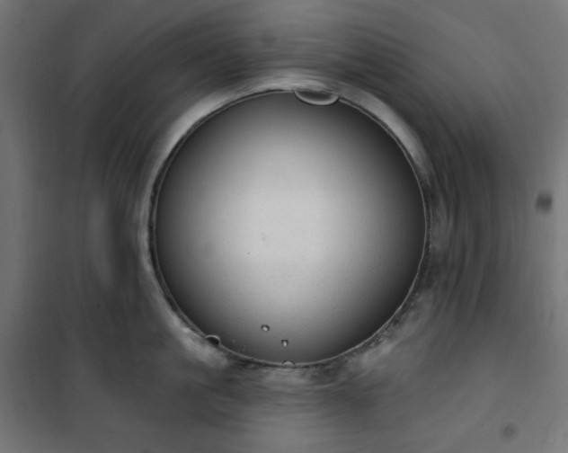 X0000101150861200807071148