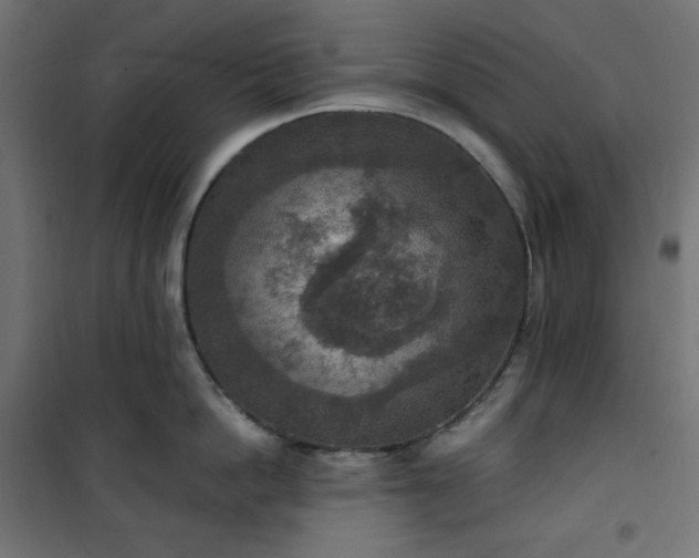 X0000101150862200807071148