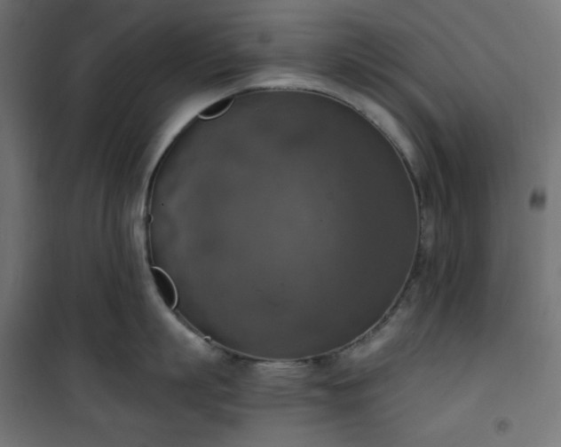 X0000101150863200807071148