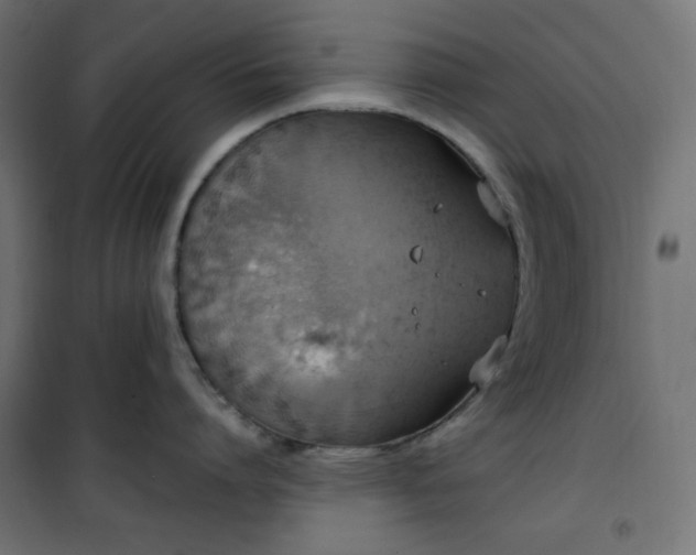 X0000101150864200807071148