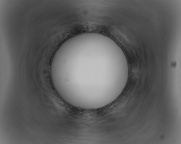 X0000101150865200807071147