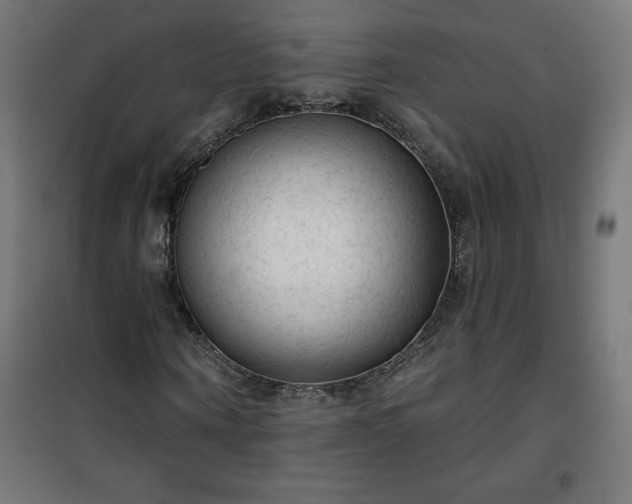 X0000101150866200807071147