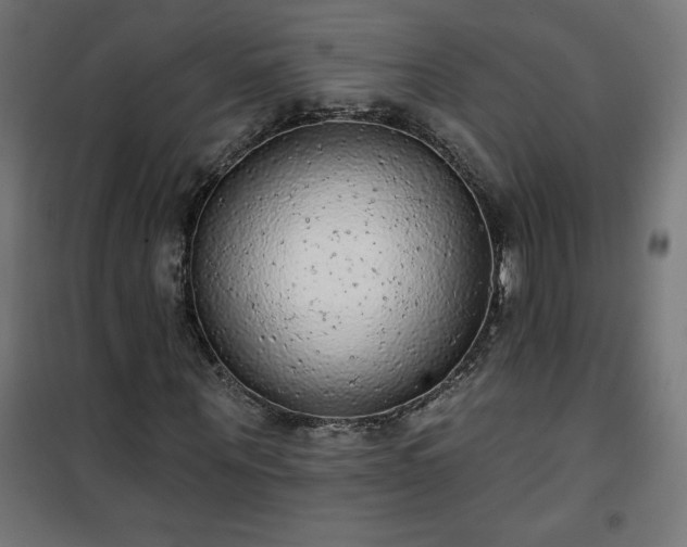 X0000101150867200807071147