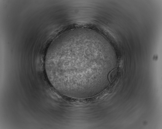 X0000101150868200807071147