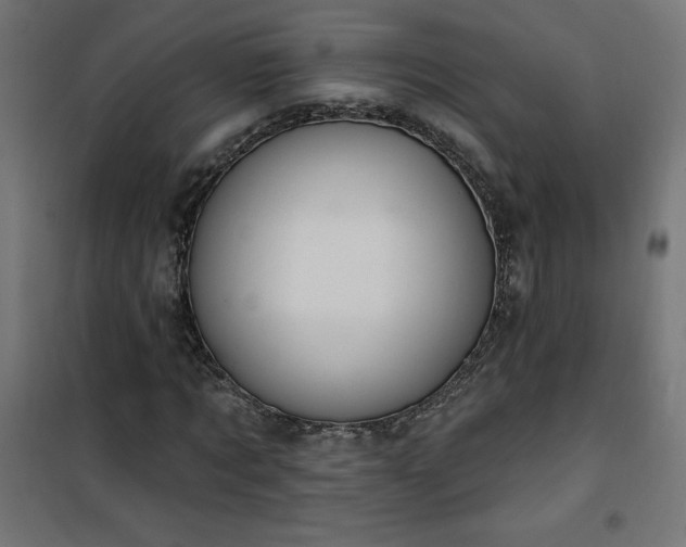 X0000101150869200807071147