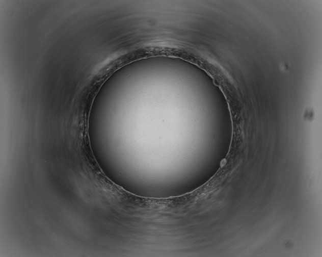 X0000101150870200807071147