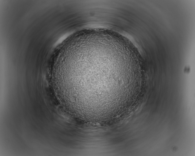 X0000101150871200807071147