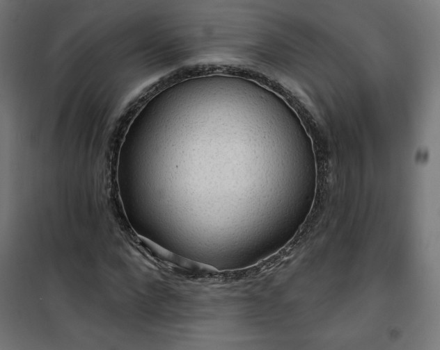 X0000101150872200807071147