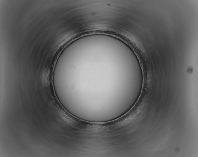 X0000101150873200807071147