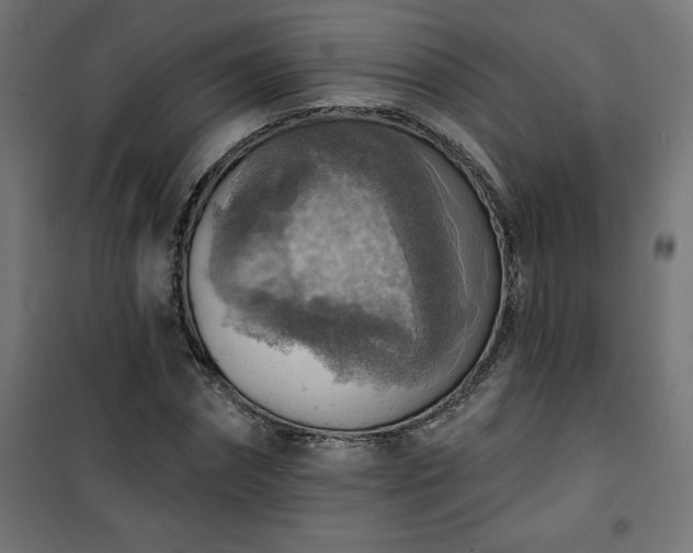 X0000101150874200807071147