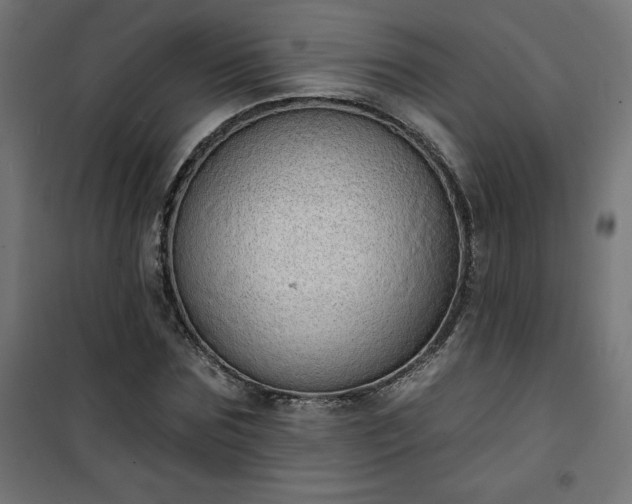 X0000101150875200807071147