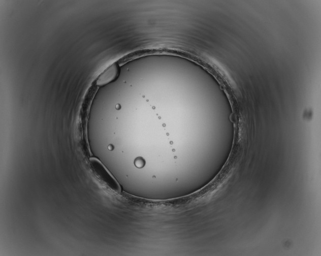 X0000101150876200807071146