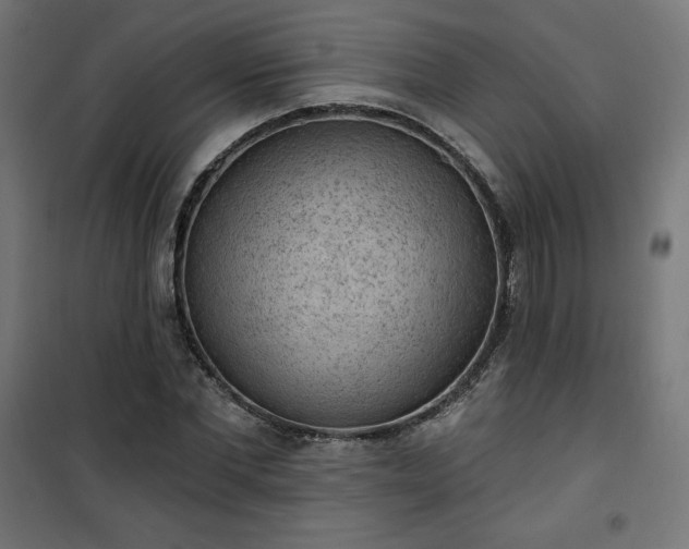 X0000101150877200807071146